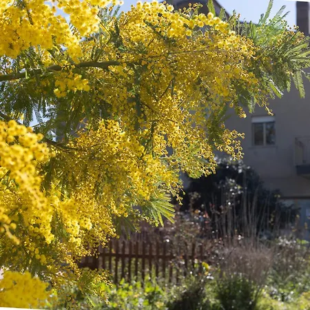 Beb Sant' Elia Oda ve Kahvaltı *